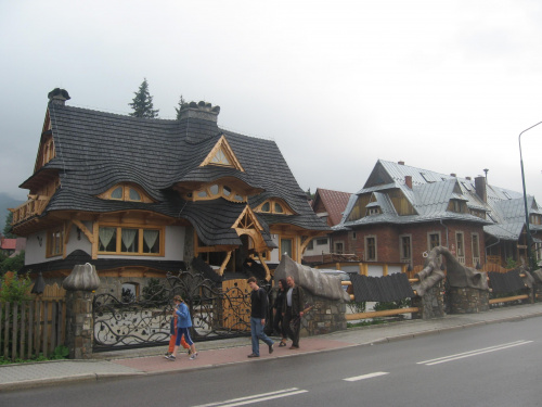 Zakopane 2008, jednoświatowe warsztaty artystyczno - edukacyjno - turystyczno - terapeutyczne