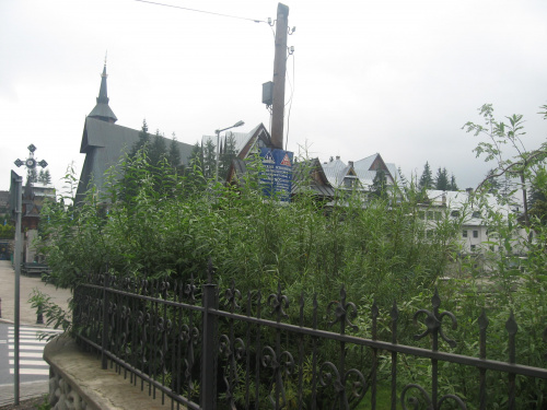 Zakopane 2008, jednoświatowe warsztaty artystyczno - edukacyjno - turystyczno - terapeutyczne