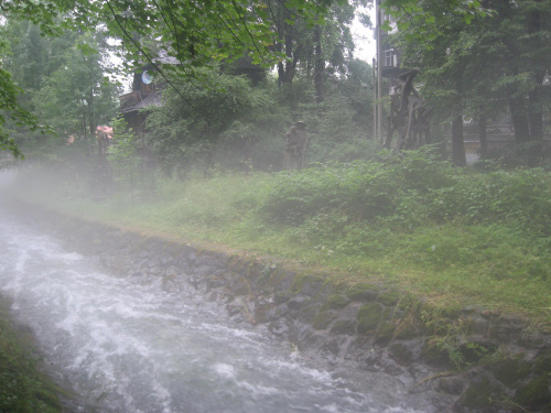 Zakopane 2008, jednoświatowe warsztaty artystyczno - edukacyjno - turystyczno - terapeutyczne