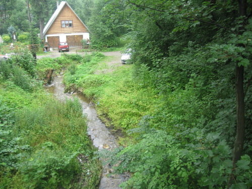 Zakopane 2008, jednoświatowe warsztaty artystyczno - edukacyjno - turystyczno - terapeutyczne