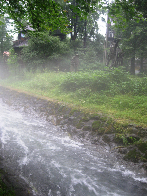 Zakopane 2008, jednoświatowe warsztaty artystyczno - edukacyjno - turystyczno - terapeutyczne