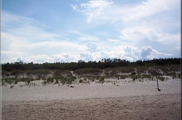 Plaża w Ustce #piach #plaża #drzewo #drzewa #chmury #niebo