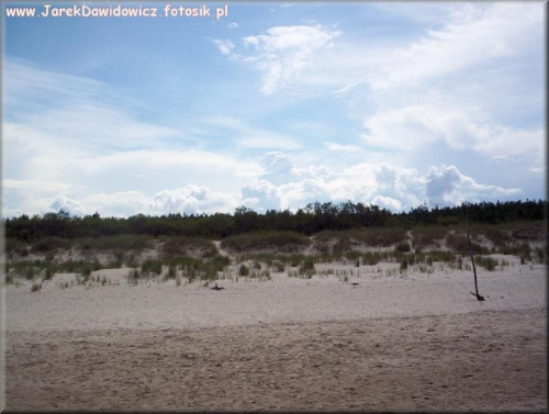 Plaża w Ustce #piach #plaża #drzewo #drzewa #chmury #niebo