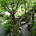 Japanese Gardens w Kildare