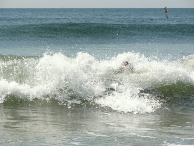 Ach jak przyjemnie kołysać się wśród fal... #ocean #lato #sierpien #fale