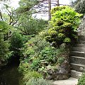 Japanese Gardens w Kildare