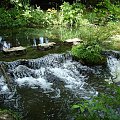 Japanese Gardens w Kildare