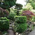 Japanese Gardens w Kildare