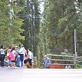 Jezioro Cvarezza al Lago w Dolomitach - zejście do jeziora.