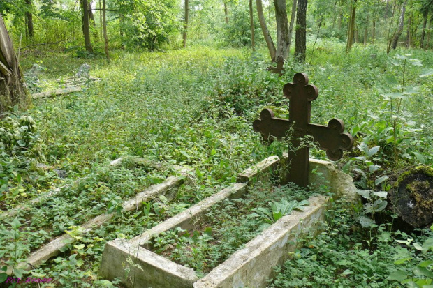 Stare Guty - cmentarz wiejski #StareGuty #MazurskieCmentarze