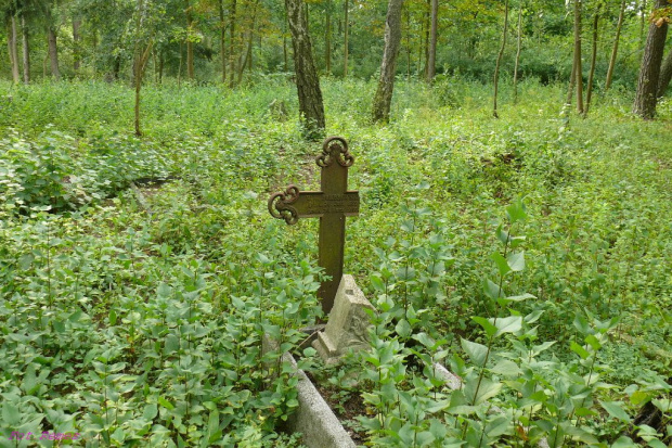 Stare Guty - cmentarz wiejski #StareGuty #MazurskieCmentarze