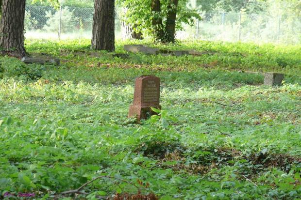Snopki - cmentarz wiejski #Snopki #MazurskieCmentarze