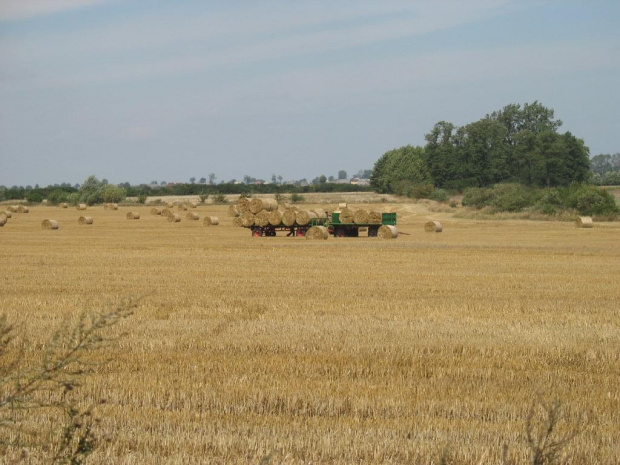 Wielkopolska - wiejski klimat - czas żniw.