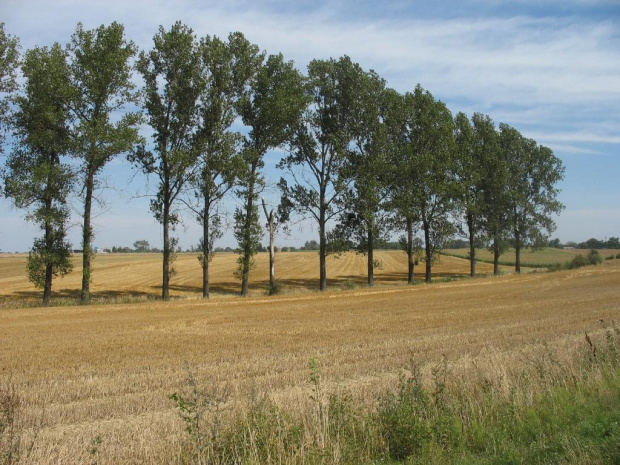 Wielkopolska - wiejski klimat - czas żniw.