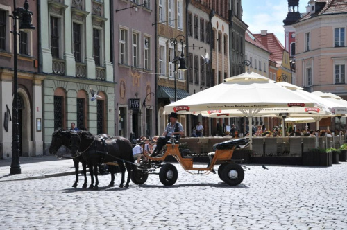 Moje miasto Poznań - Stary Rynek, widziany podczas południowego spaceru.