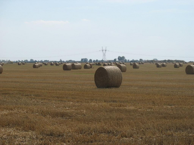 Wielkopolska - wiejski klimat - czas żniw.