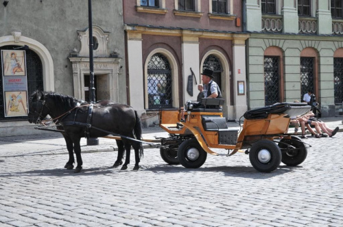 Moje miasto Poznań - Stary Rynek, widziany podczas południowego spaceru.