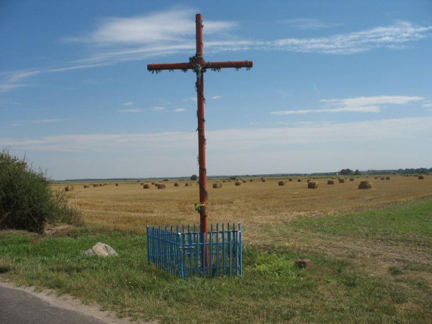 Wielkopolska - wiejski klimat - czas żniw.