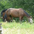 początek rajdu Lądek Zdrój ' Słoneczna Dolina" 02.08.2008