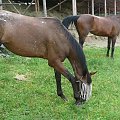 początek rajdu Lądek Zdrój ' Słoneczna Dolina" 02.08.2008