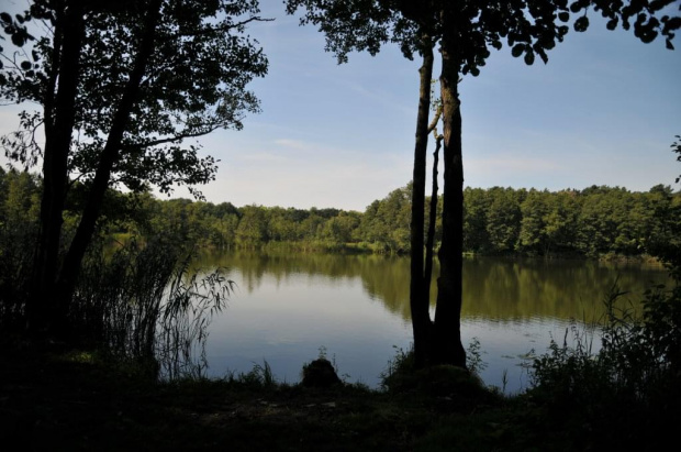 Jezioro Strzeszyńskie widziane w godzinach południowych.