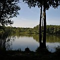 Jezioro Strzeszyńskie widziane w godzinach południowych.