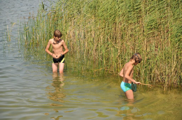 Jezioro Strzeszyńskie widziane w godzinach południowych.