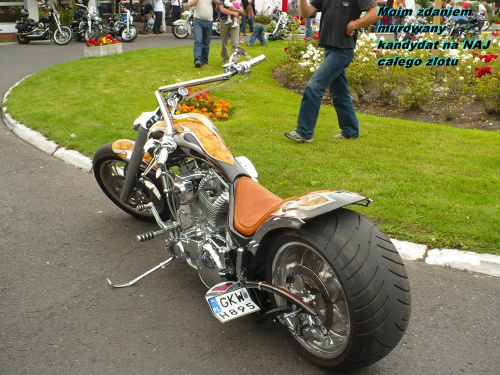 ZLOT HARLEY DAVIDSON KOŁOBRZEG