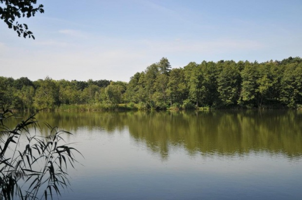 Jezioro Strzeszyńskie widziane w godzinach południowych.