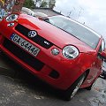 Lupo GTI