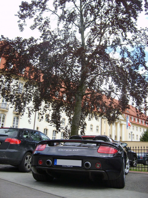 Carrera GT