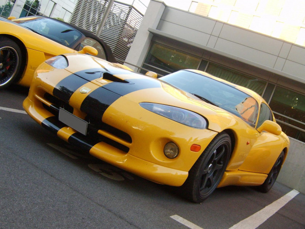 Viper GTS