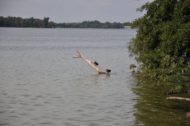 Jezioro Kierskie w blasku słońca.