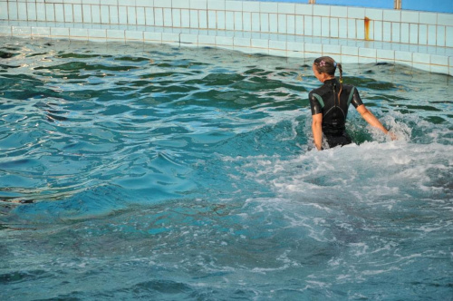 Rimini - pokaz delfinów. Treserka pchana przez delfiny wokół delfinarium.