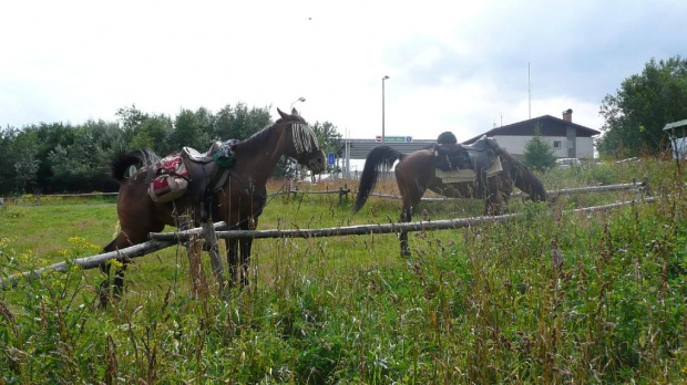 Przełęcz Okraj - 12.08.2008