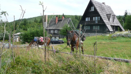 Przełęcz Okraj - 12.08.2008