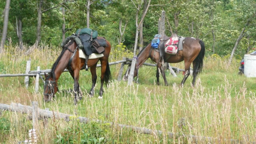 Przełęcz Okraj - 12.08.2008