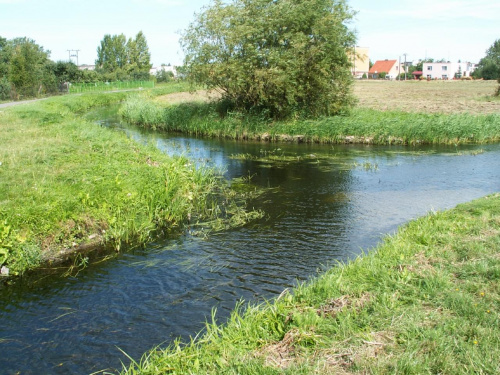 Skrzyżowanie rzek Wełny i Nielby w Wągrowcu ;)