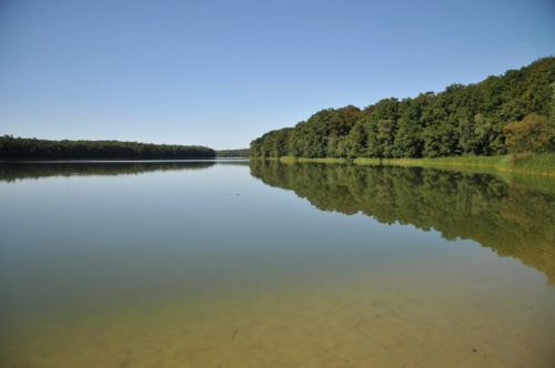 Jezioro Góreckie w Wielkopolskim Parku Narodowym.