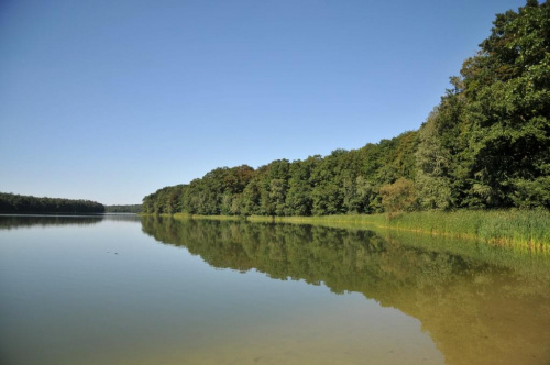 Jezioro Góreckie w Wielkopolskim Parku Narodowym.