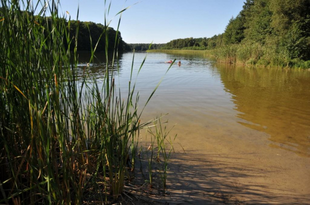 Jezioro Jarosławiec w Wielkopolskim Parku Narodowym.