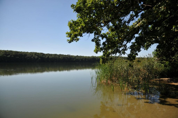 Jezioro Góreckie w Wielkopolskim Parku Narodowym.