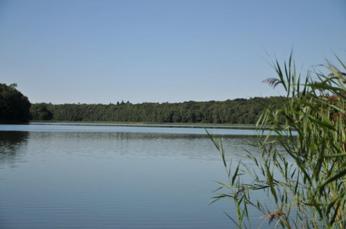 Jezioro Góreckie w Wielkopolskim Parku Narodowym.