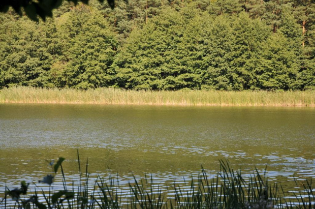 Jezioro Jarosławiec w Wielkopolskim Parku Narodowym.