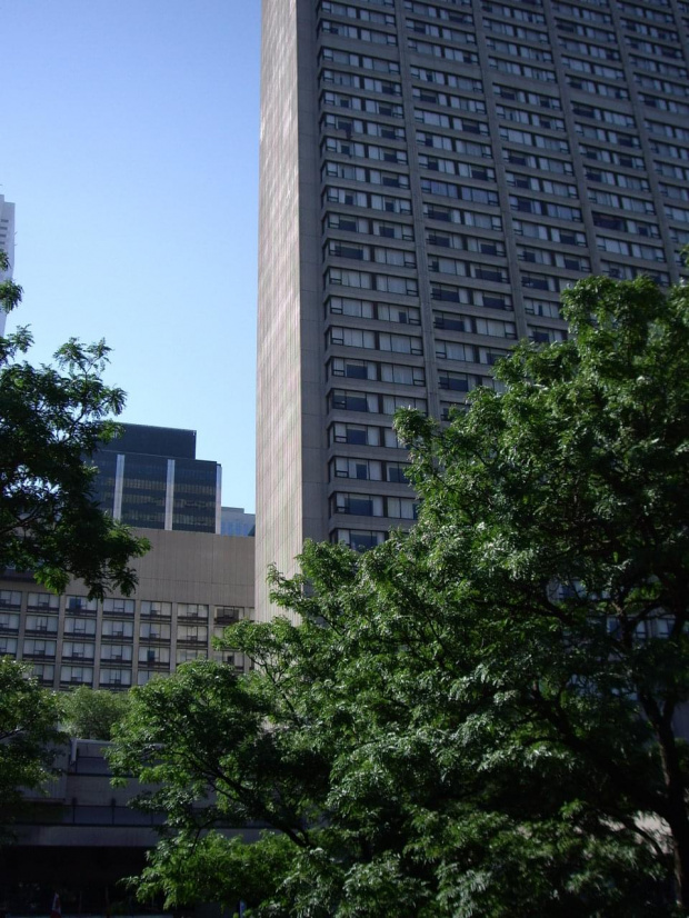 moje miasto Toronto
-1 wrzesnia 2008
-hotel Sheraton #miasto #MojeMiasto #Toronto #ulice #wiezowce #lato #wrzesien #Canada #Kanada