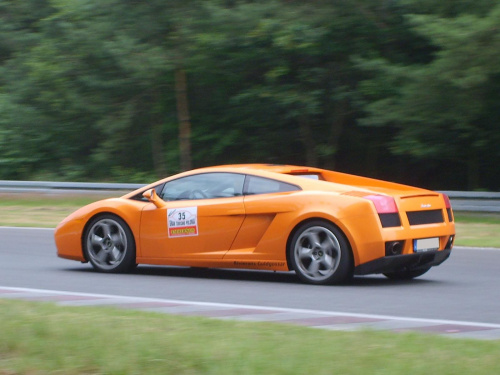 Gallardo