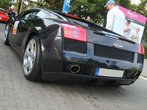 Gallardo