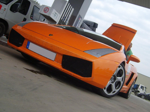 Gallardo