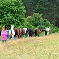 Nieszkowice, pastwisko wśród lasów
09.07.2007 #Fundacja #Tara #Nieszkowice #Scarlet