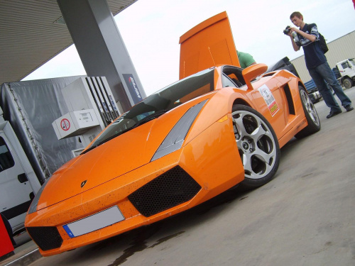 Gallardo